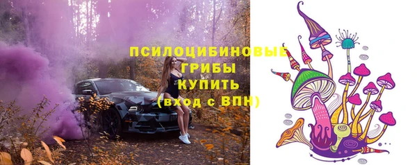 хмурый Балабаново