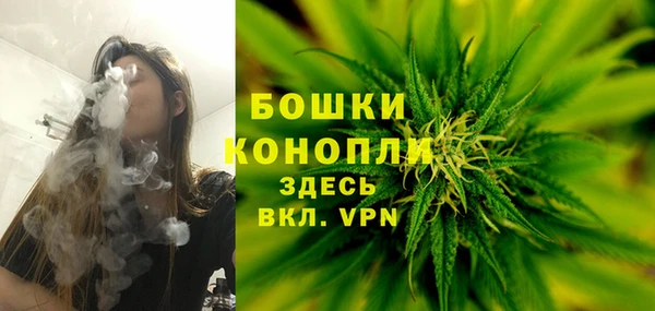 хмурый Балабаново