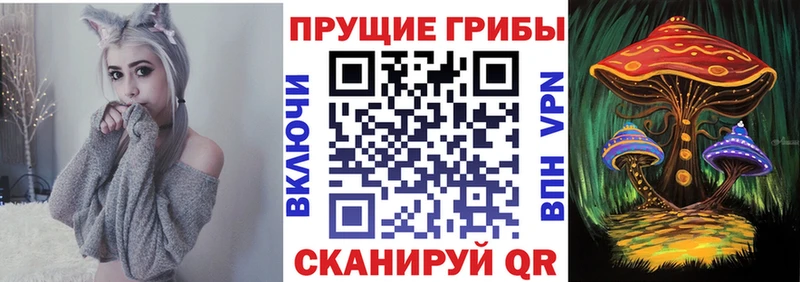 Псилоцибиновые грибы мицелий  Куйбышев 
